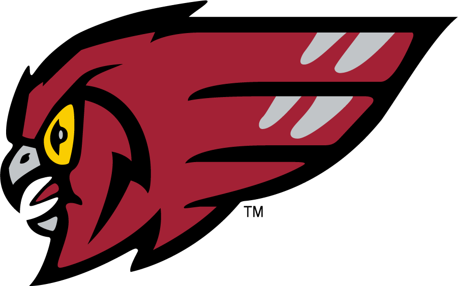 Temple Owls 1996-2011 Secondary Logo iron on transfers for clothing